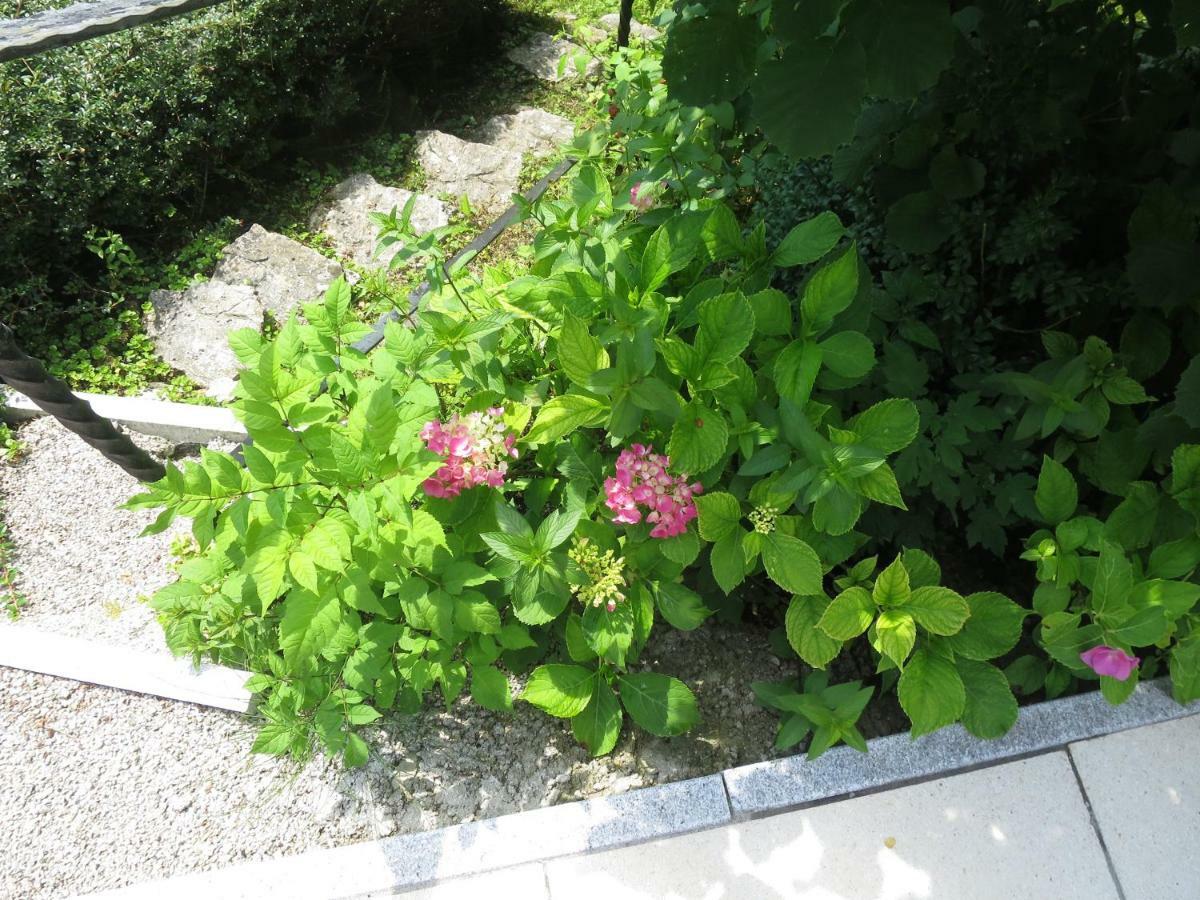 Haus Aschau Apartment Bad Ischl Exterior photo